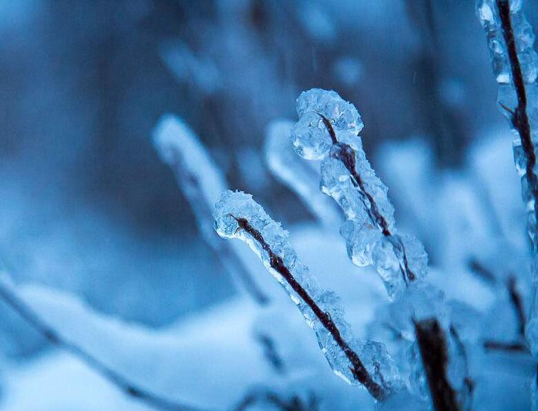 夜幕星河，明月朗朗：《辉月》