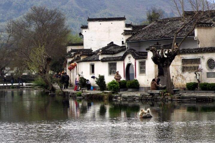 我见青山多妩媚，料青山见我应如是：《宏村》