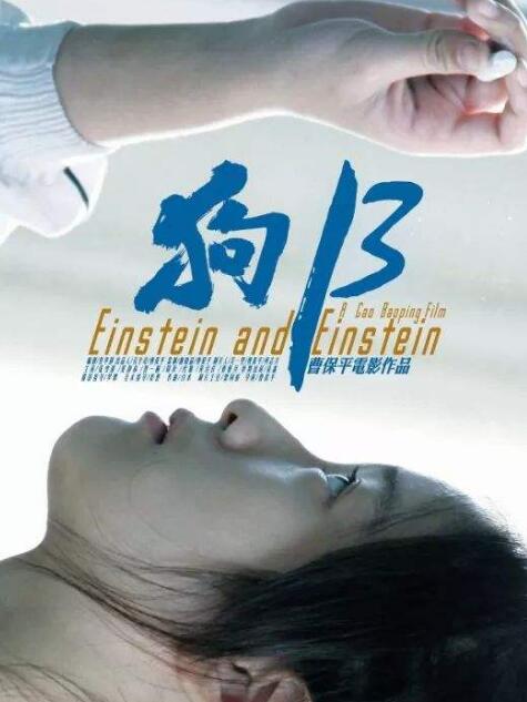 那些年的青春电影：《狗十三》 1080p 高清下载