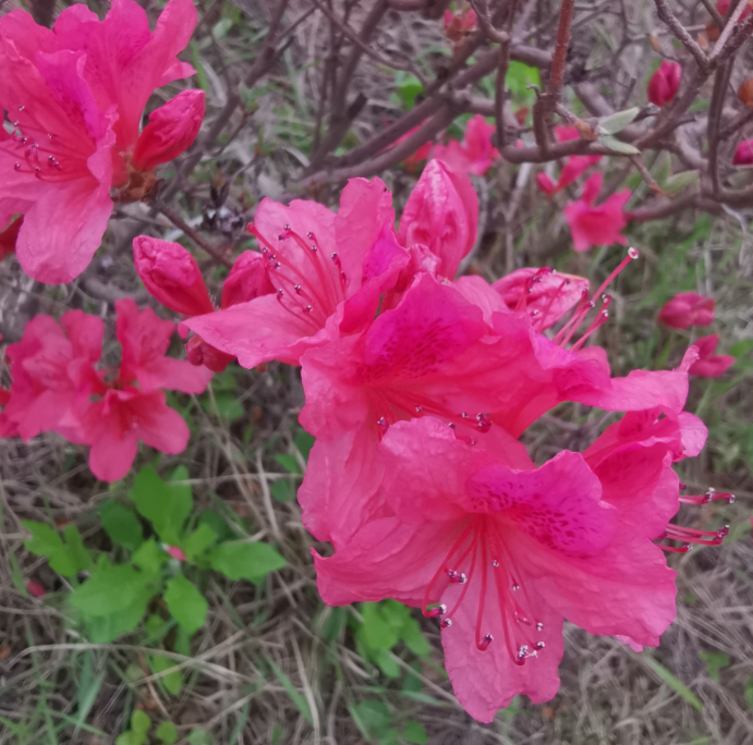 新来的未必是适合你，旧去的或许更懂你：《对着山谷说话一定会有回音》