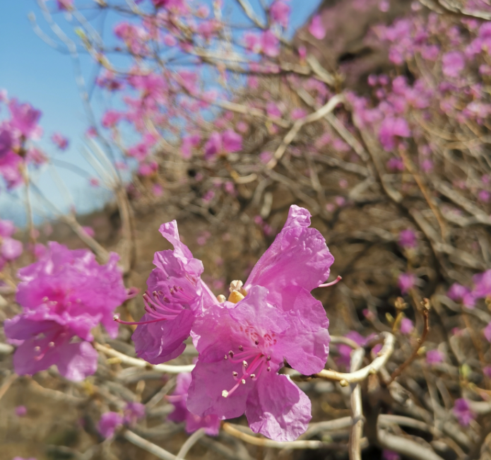 新来的未必是适合你，旧去的或许更懂你：《对着山谷说话一定会有回音》