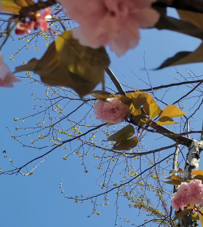 新来的未必是适合你，旧去的或许更懂你：《对着山谷说话一定会有回音》