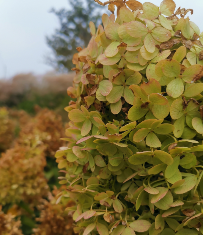 新来的未必是适合你，旧去的或许更懂你：《对着山谷说话一定会有回音》